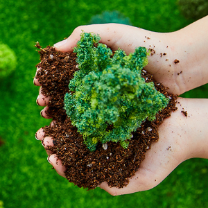 탄소중립 관련주 대장주 테마주 주식 TOP7