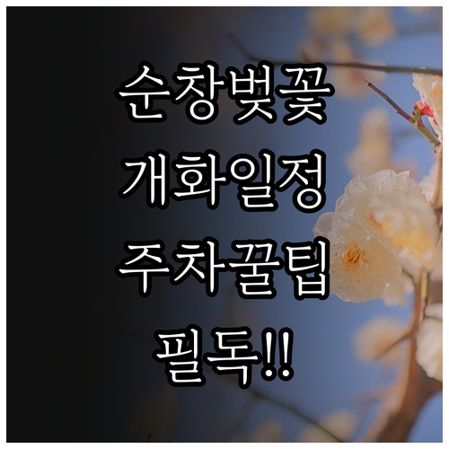 순창 옥천골 벚꽃축제 일정 및 경천변..