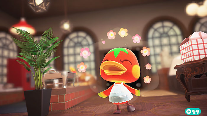 모동숲 해피홈 케찹의 집꾸미기