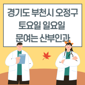 부천시 오정구 토요일 일요일 산부인과 진료 문여는 병원 리스트