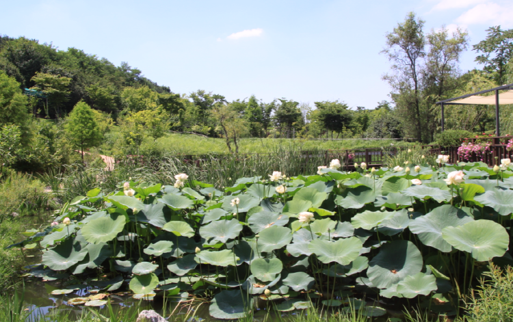 바다향기 수목원