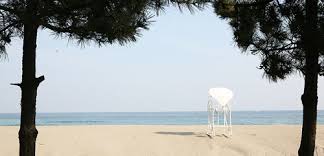  2024 전국 해수욕장 개장일 정리와 특징 - 경상도