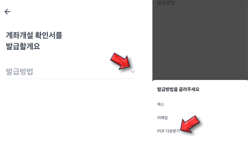 PDF-다운받기-발급-방법-선택