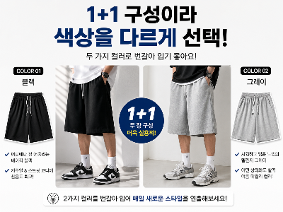 1+1 구성