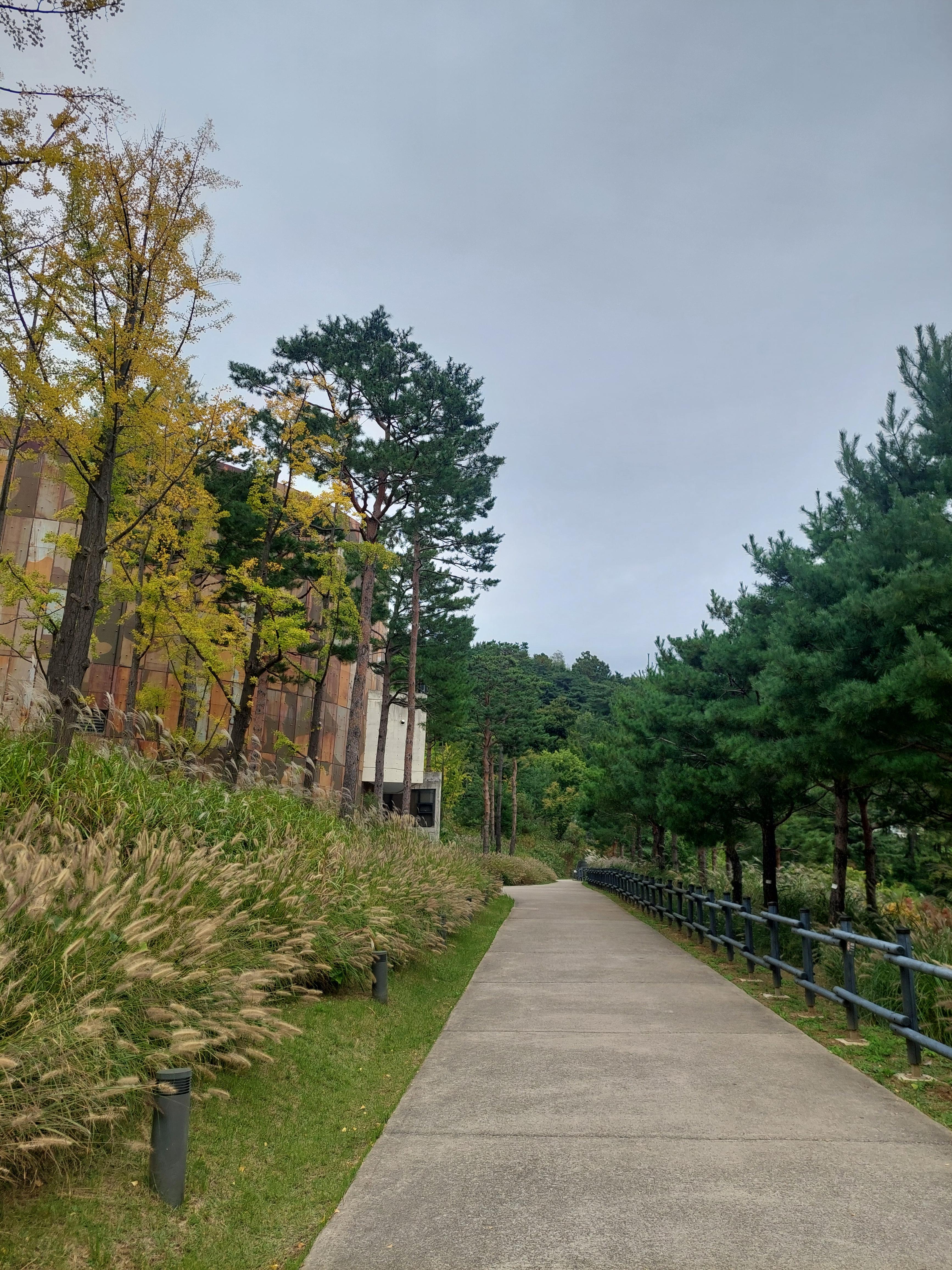 하늘공원