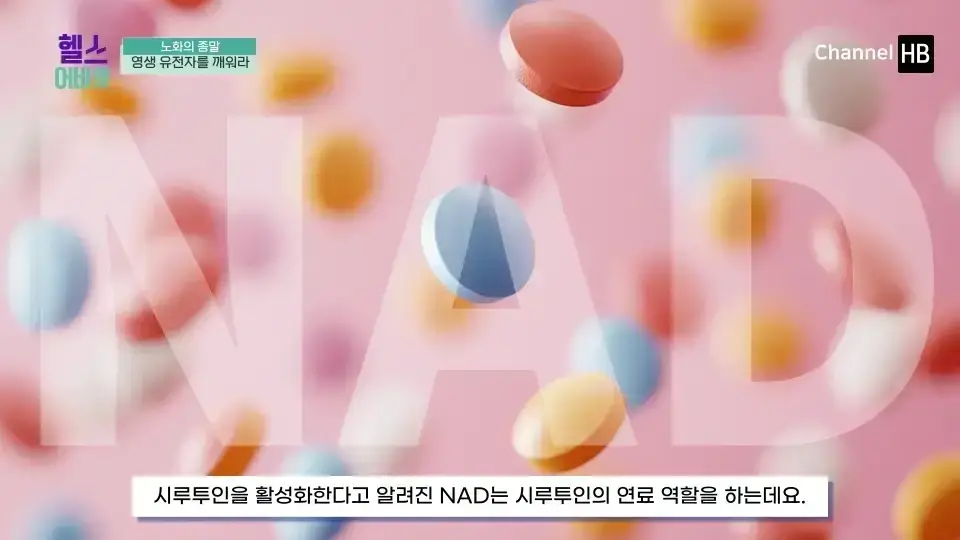NMN이란