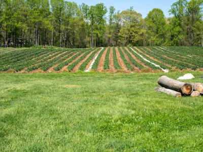 경기도 조상땅 찾기
