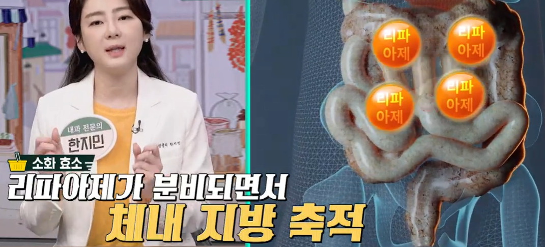 시서스 효능 