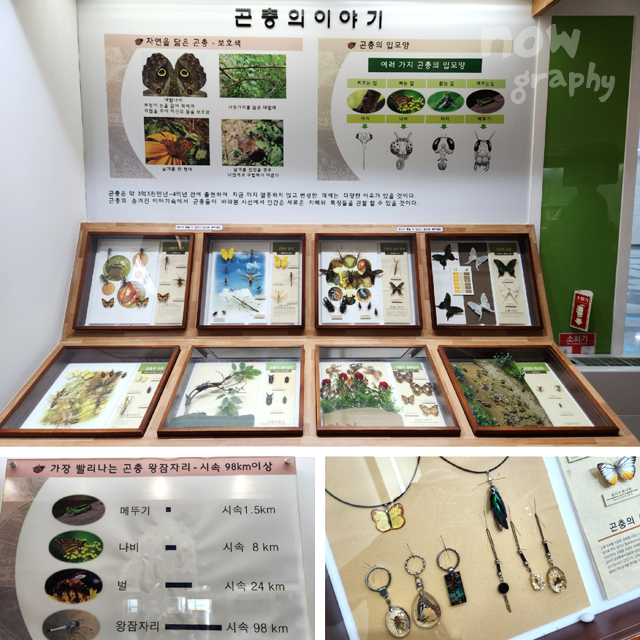 아산시-생태곤충원