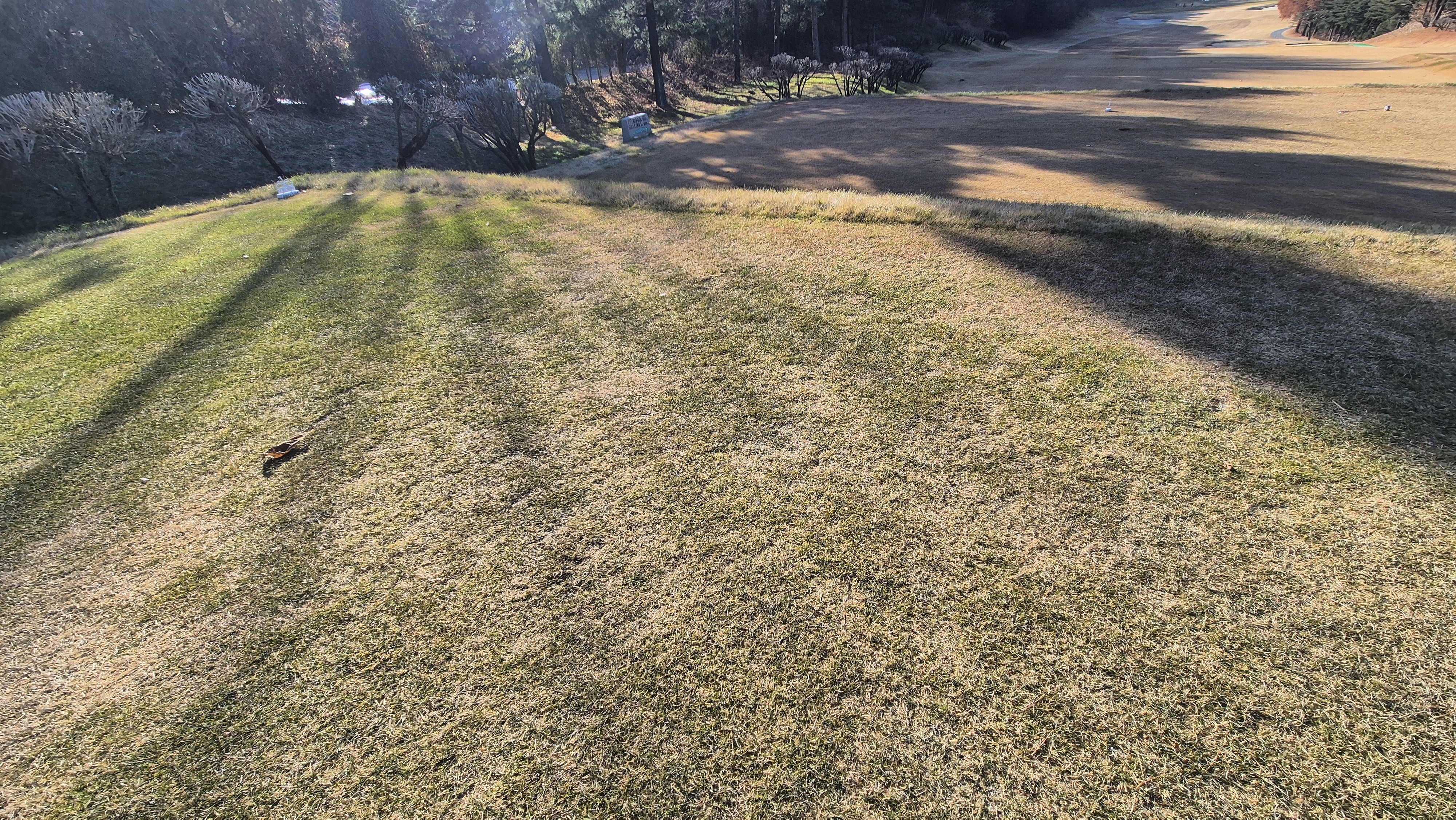 88cc 서코스 라운드 티잉구역상태