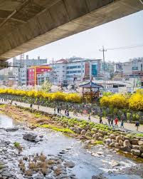 2024 서대문 봄빛 축제 봄빛 콘서트 벚꽃라이브 함신익과 심포니송 기본일정과 프로그램 소개 홍지윤 박현빈 일소로몬 티엘 세자전거 어소티드 턴어라운드 오적목소리 라클라쎄 출연
