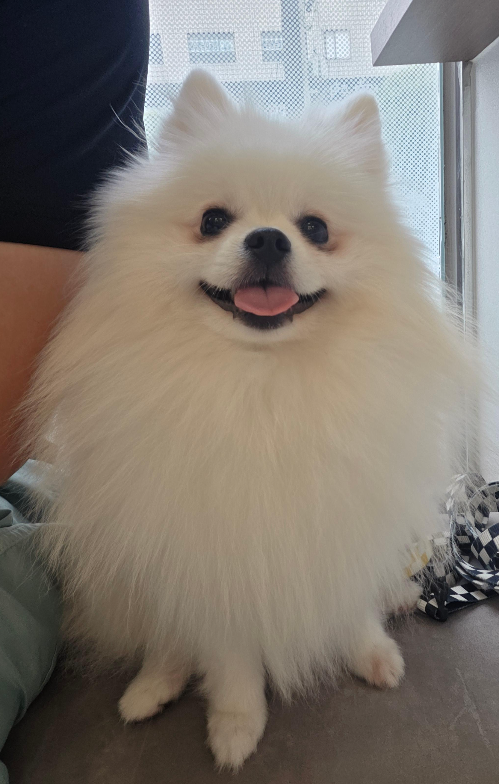 병원에 온 하콩