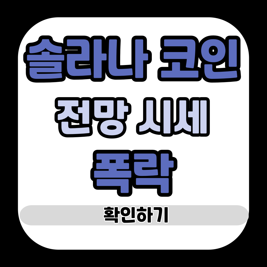 솔라나 코인 전망 시세 폭락