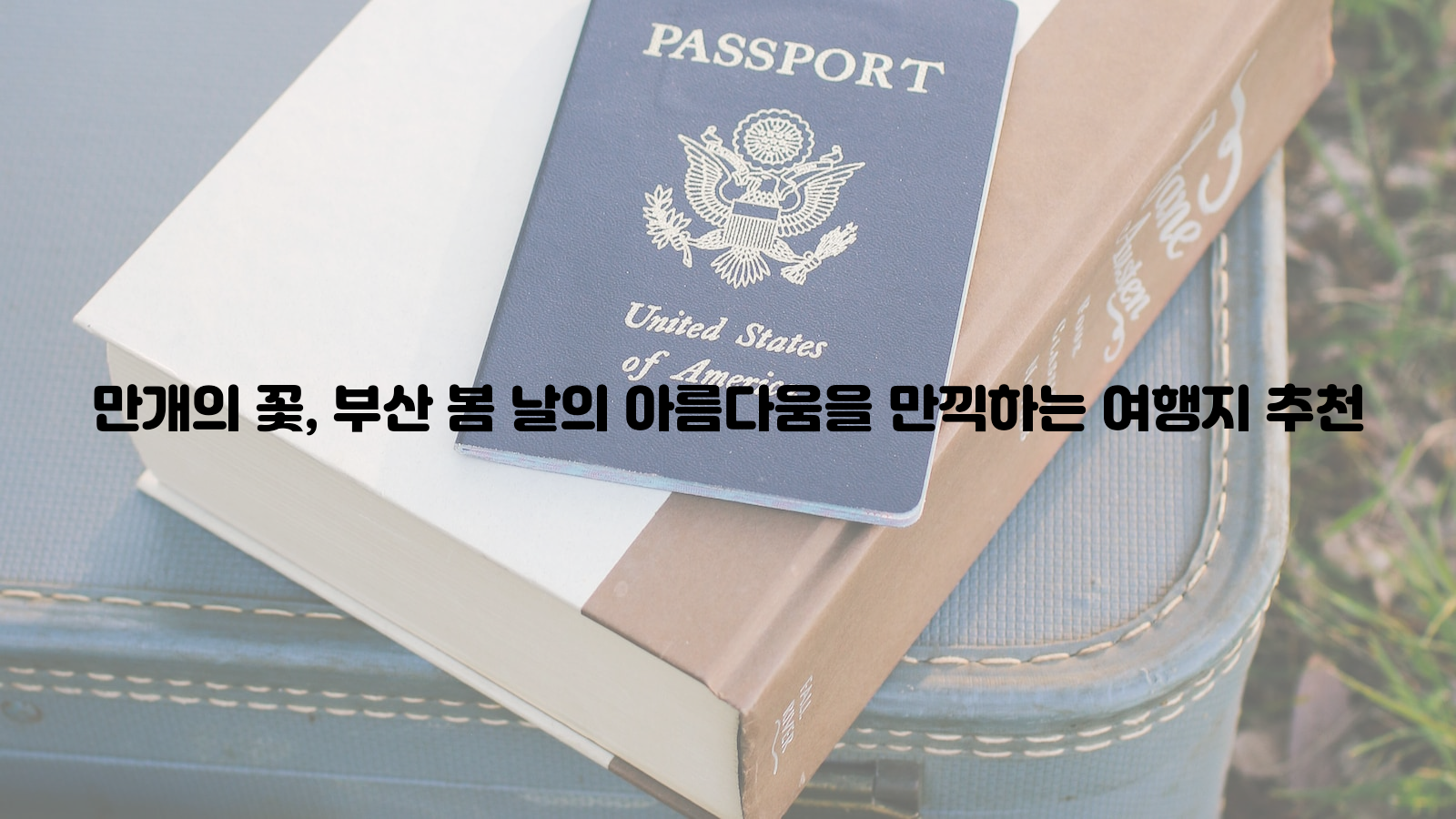 만개의 꽃, 부산, 봄날의 아름다움