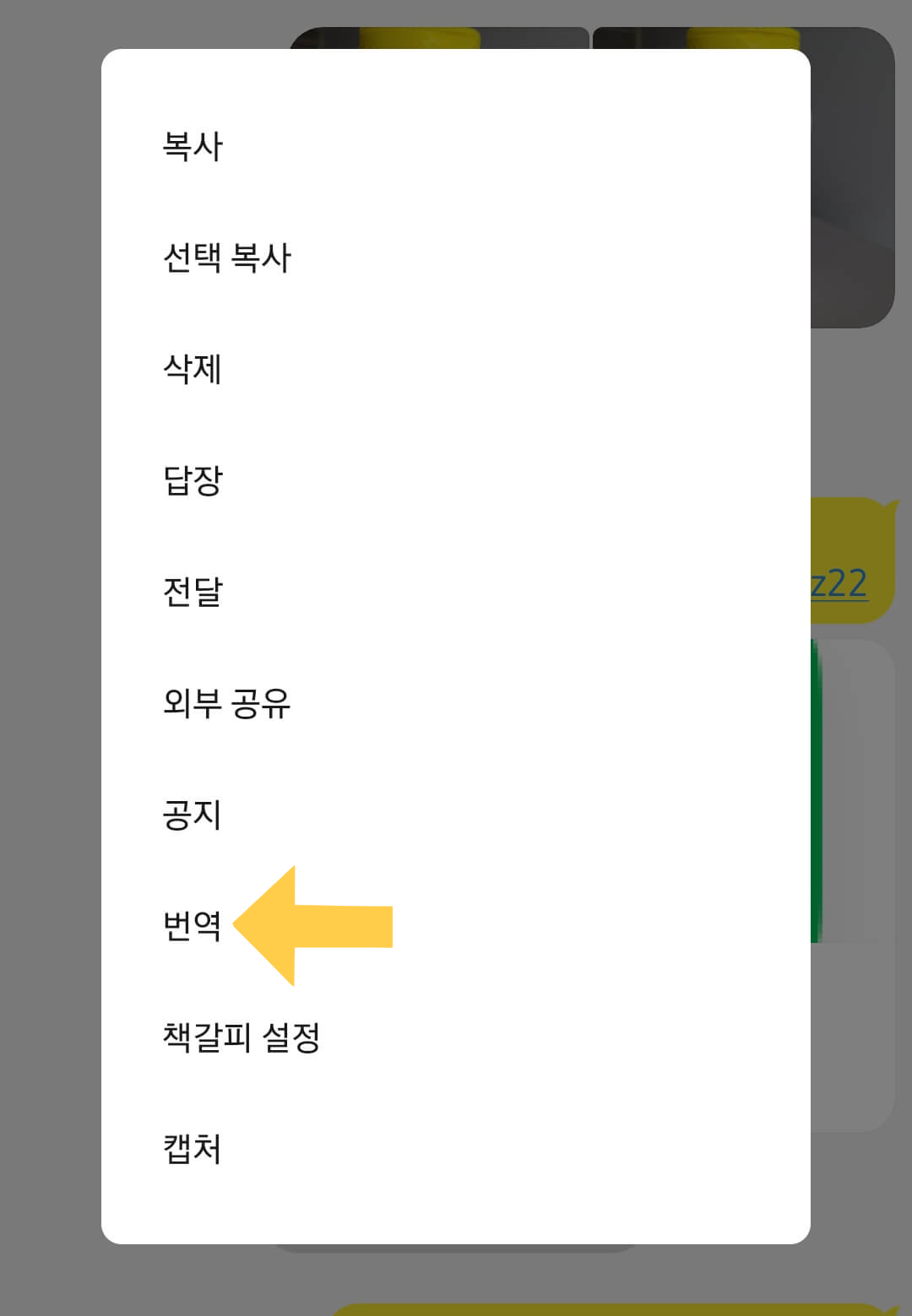 카카오 톡 실시간 번역 기능 선택