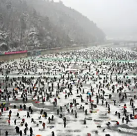 산천어 얼음낚시