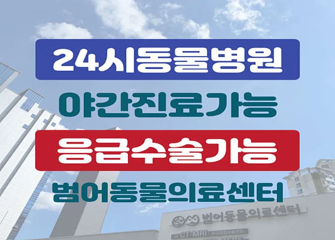 24시 범어동물의료센터