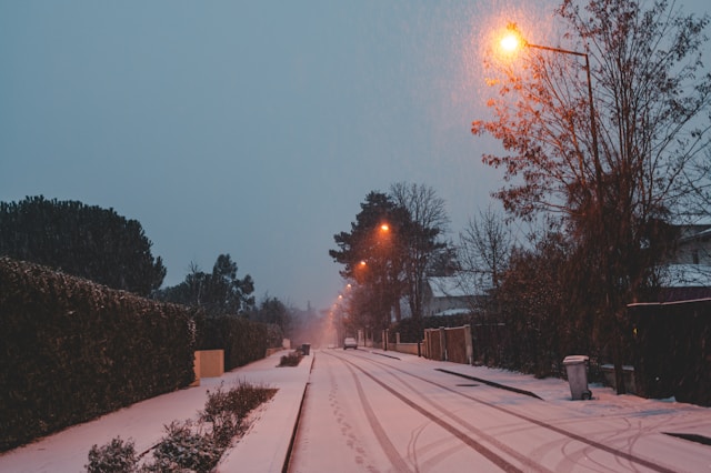 강원도 폭설 도로 통제 현황과 여행 환불 꿀팁