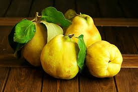 여자에게좋은음식