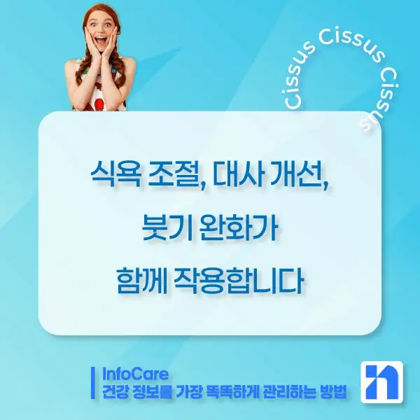 시서스 다이어트&amp;#44; 복용방법