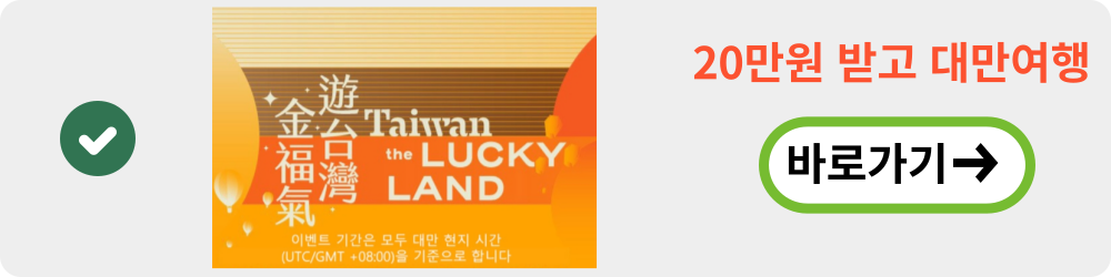 대만 자유여행 지원금