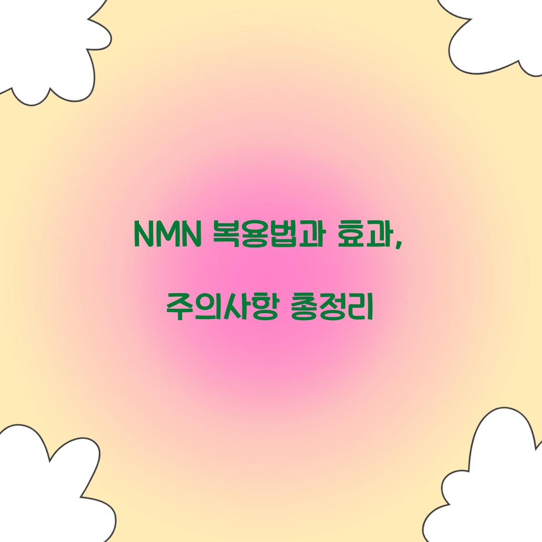 nmn 복용법