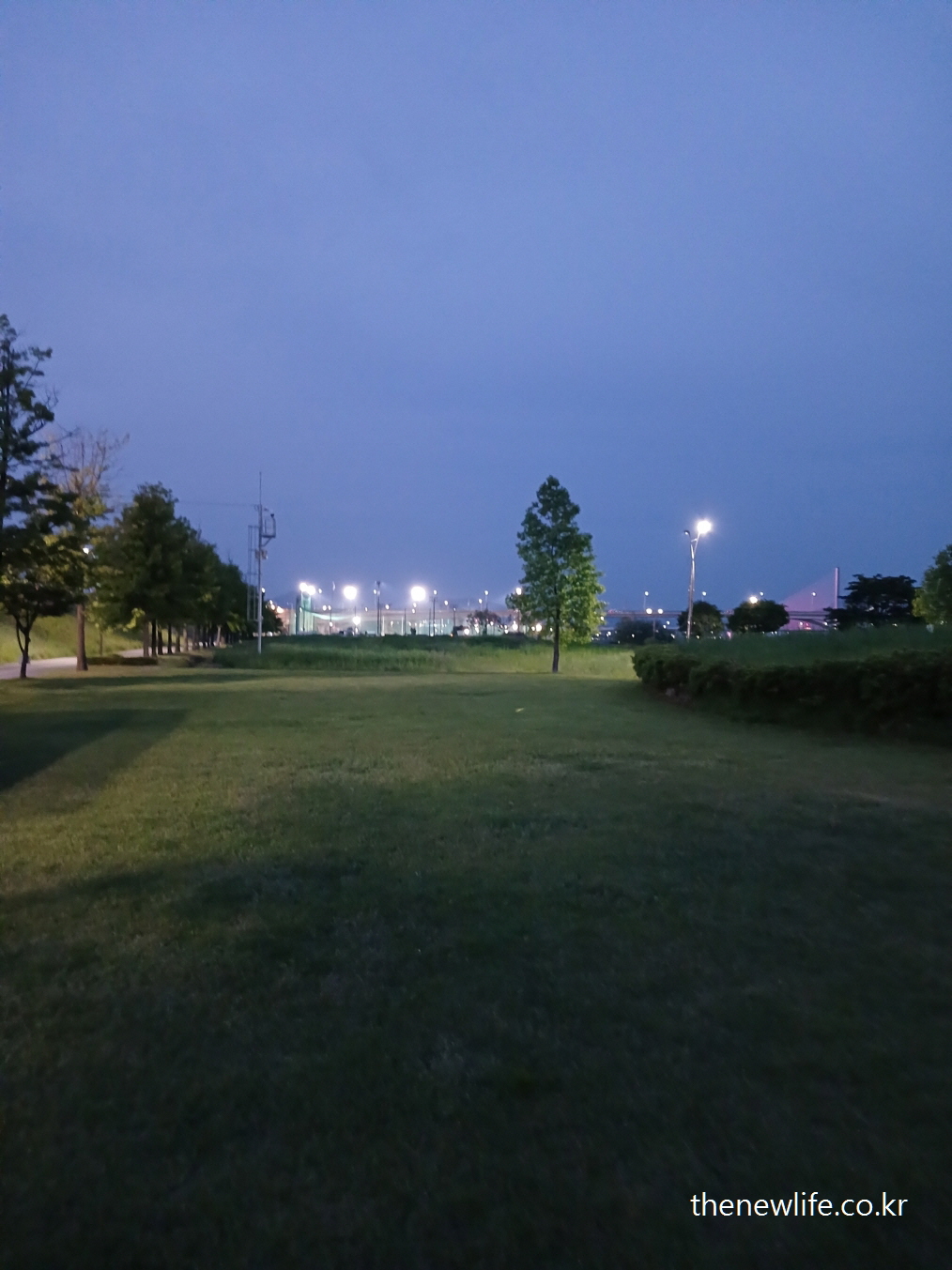 Evening lights shining on grass field at Guri Hangang Park-구리 한강시민공원 맨발걷기 적합한 잔디밭에 저녁 조명이 비치는 장면