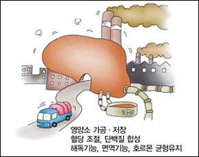 간염 종류 9