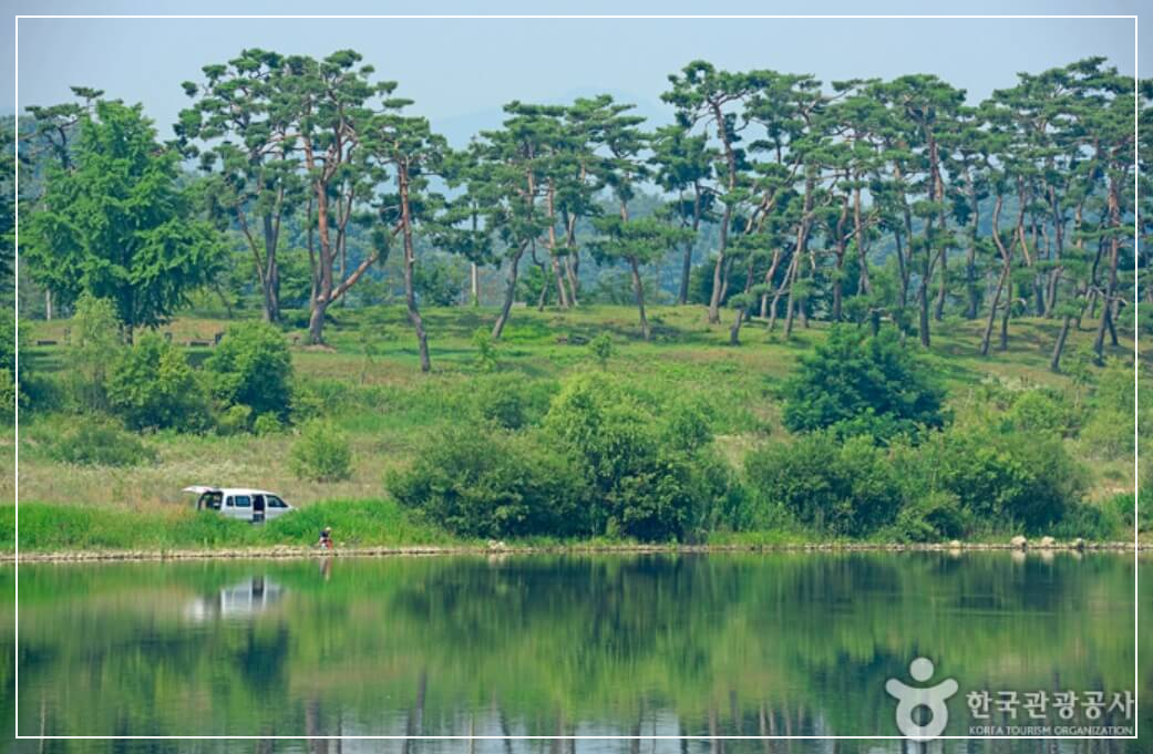 충주 가볼만한곳 베스트10 목계나루 솔밭공원