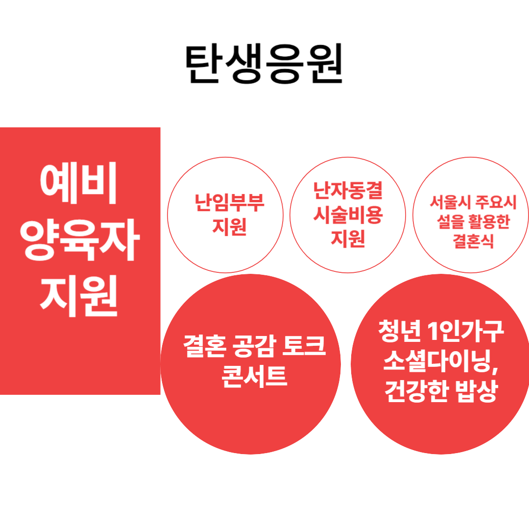  탄생응원 서울프로젝트 2 혜택 