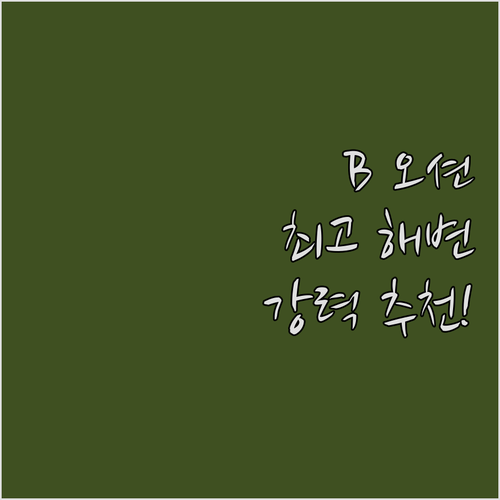 B 오션 리조트 포트로더데일 비치 추..