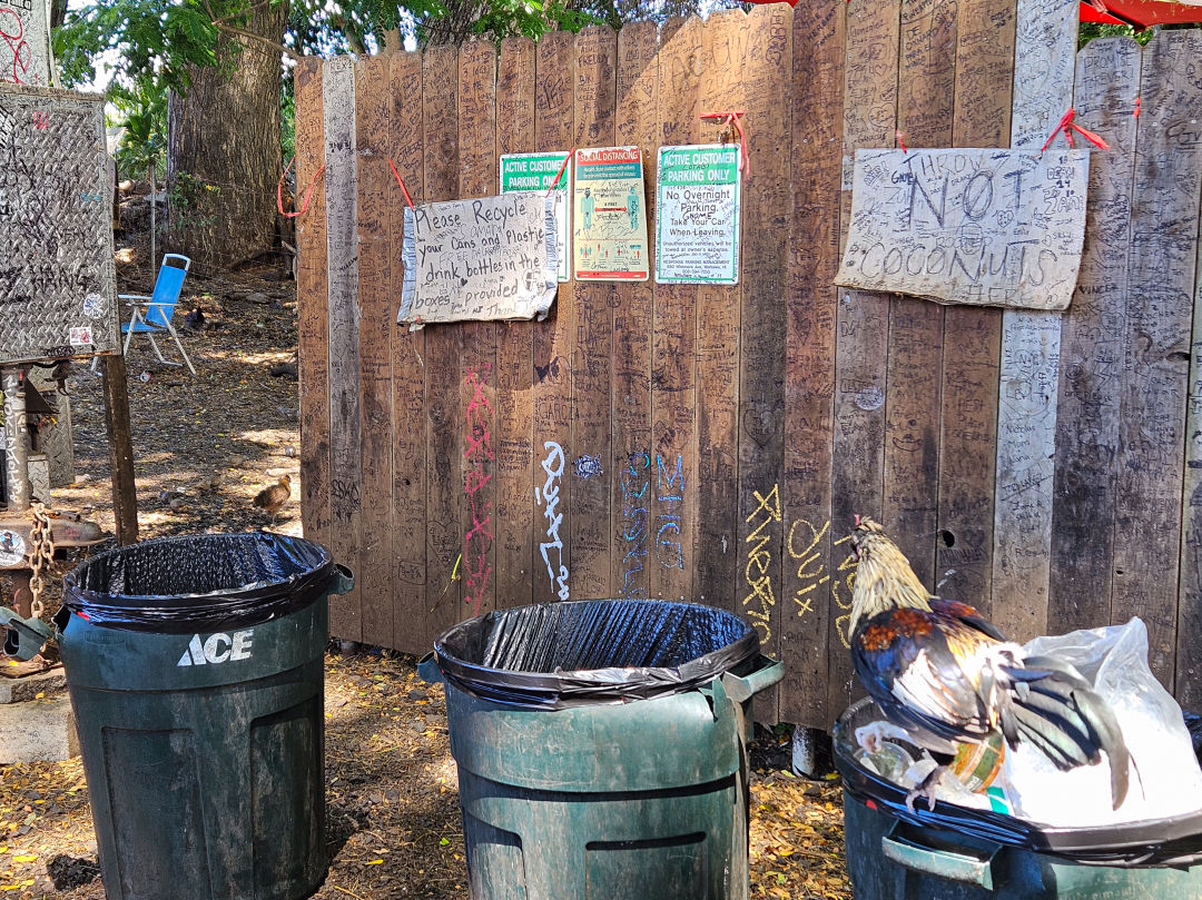 지오반니 새우트럭 쓰레기장