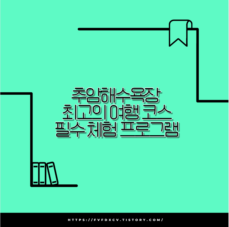 추암해수욕장 최고의 여행 코스와 필수 체험 프로그램