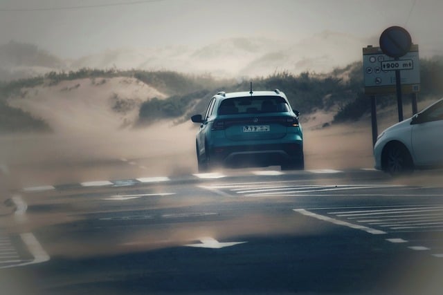 도로 위의 자동차