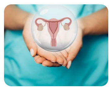 자궁 대표 질환 종류