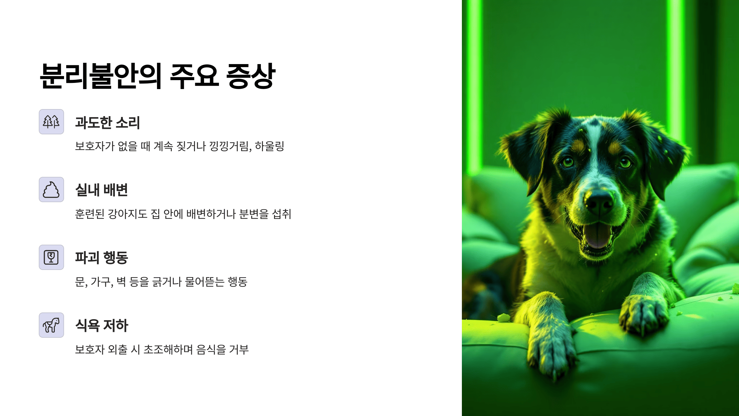 분리불안의 주요 증상