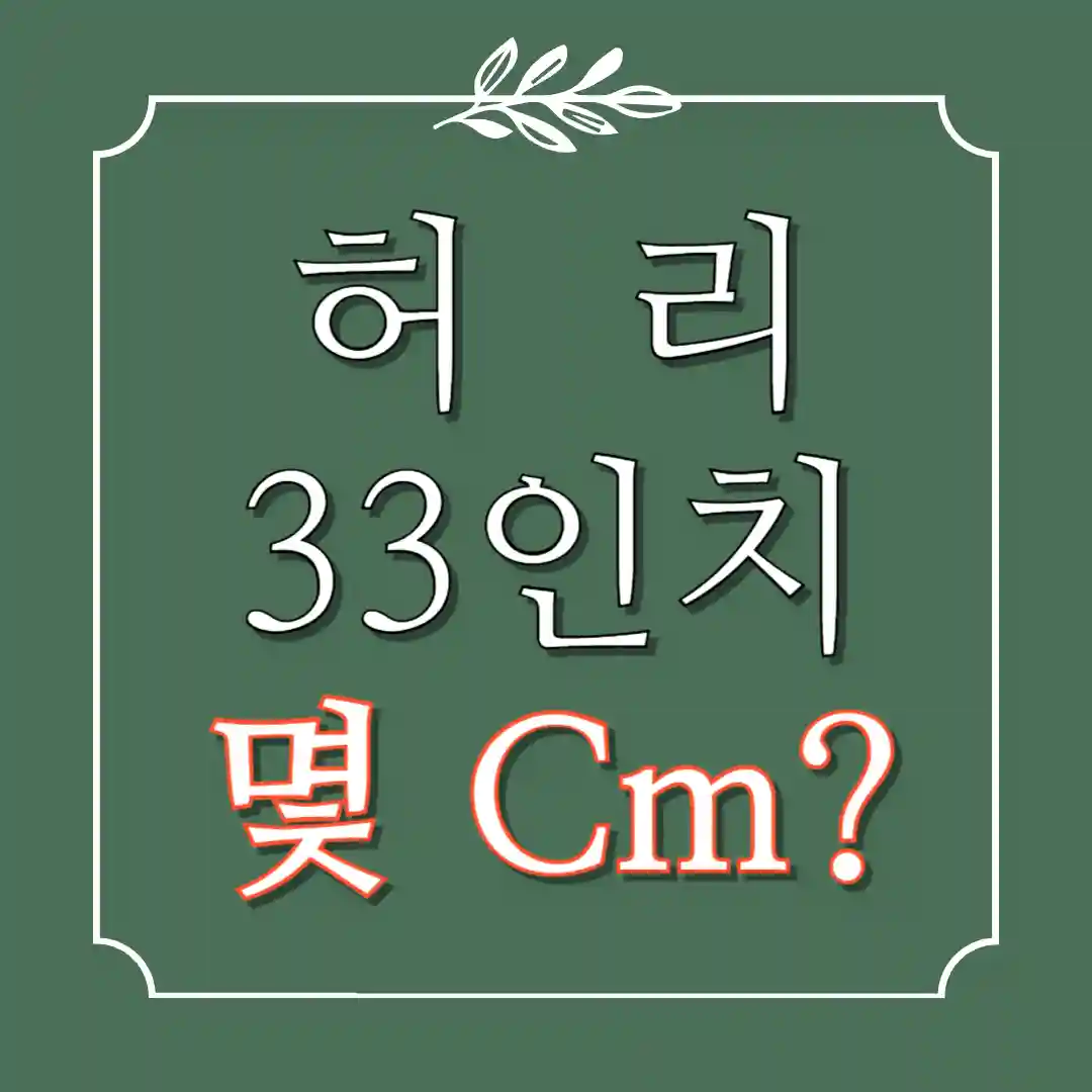허리 33인치 몇cm