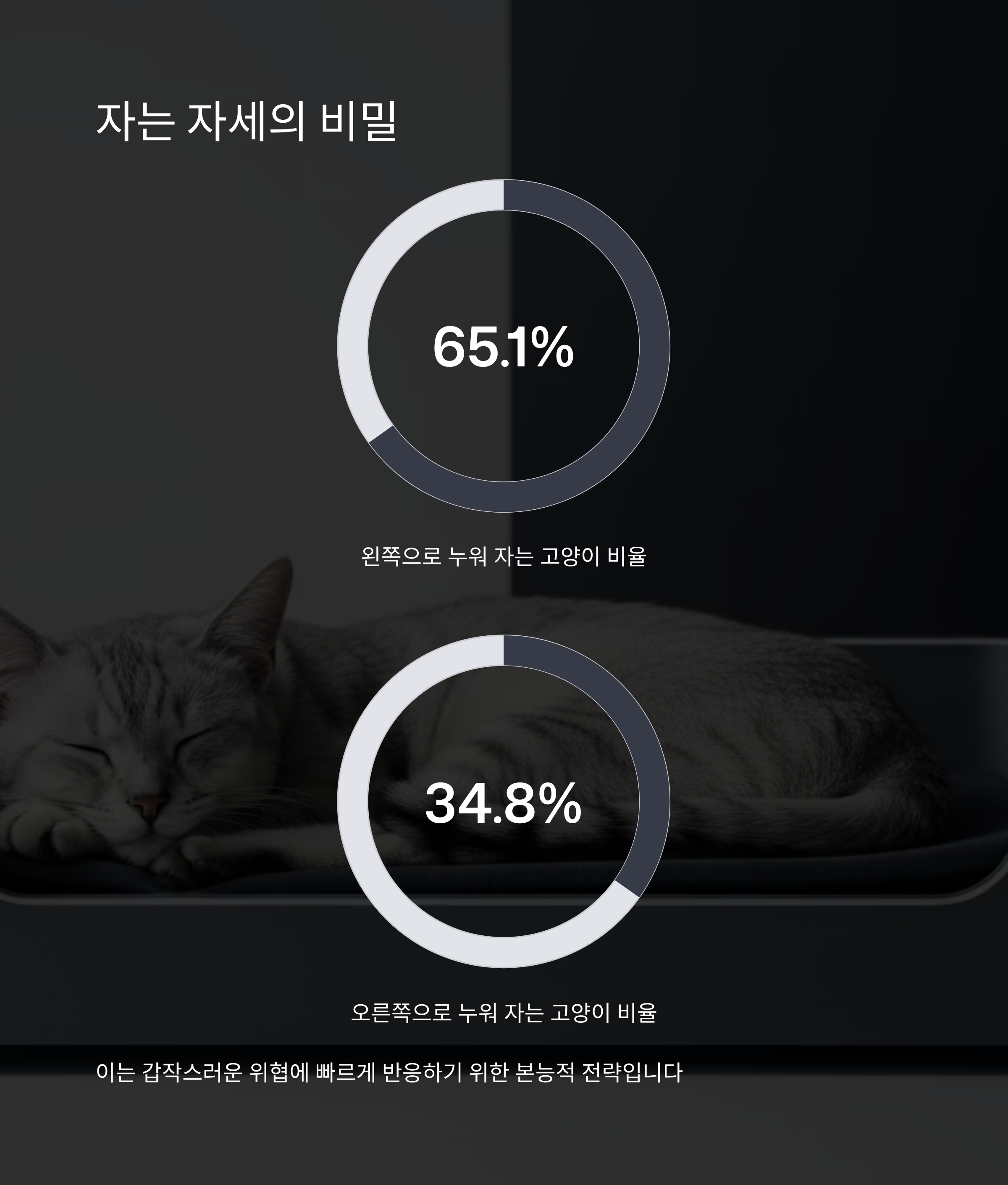 자는 자세의 비밀