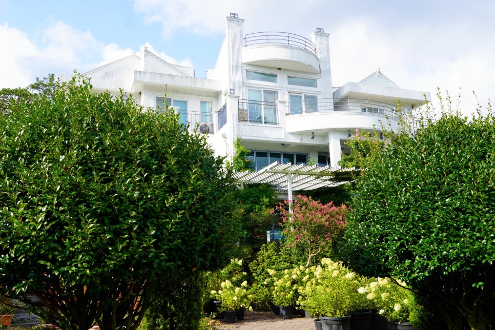 제주 핑크뮬리 명소 마노르블랑