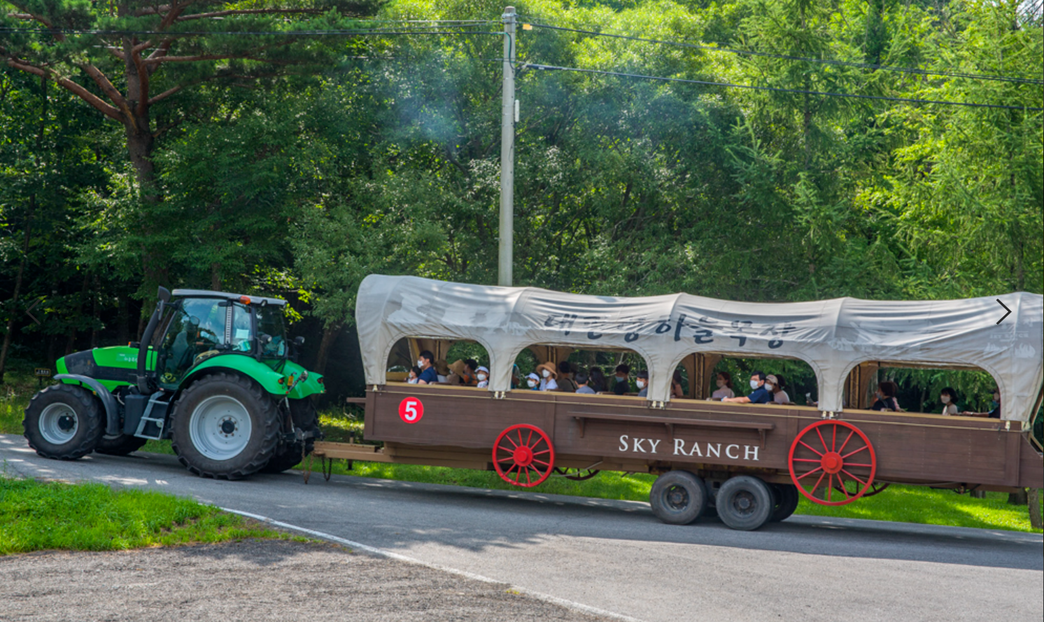 평창 가볼만한곳 베스트10