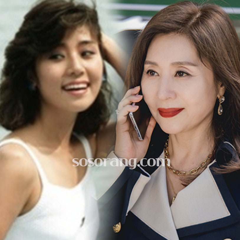 최명길 리즈 시절과 현재까지도 변함없는 우아한 미모
