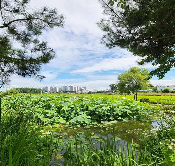 비틀즈자연학교