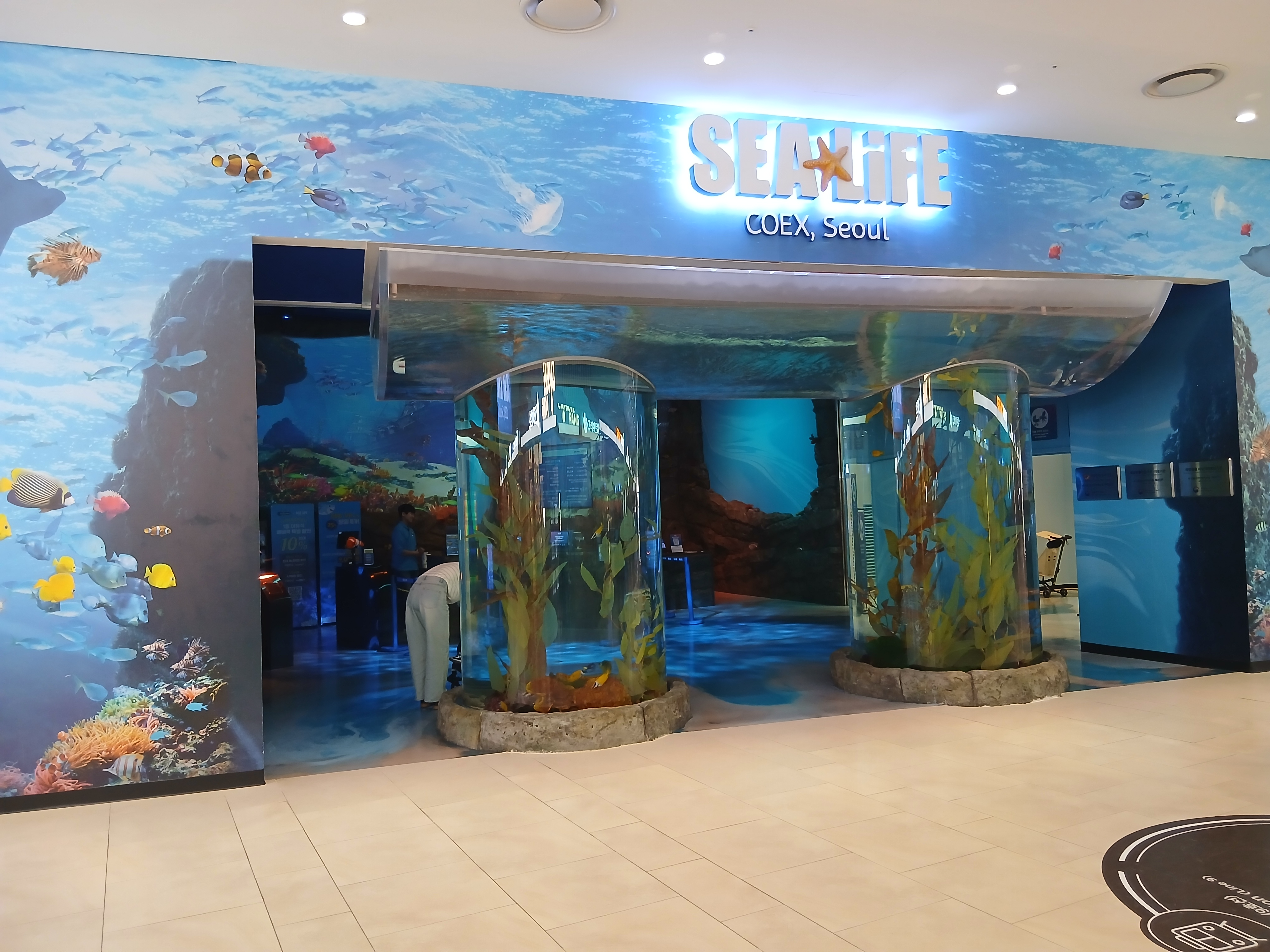 코엑스 아쿠아리움 입구 전경 모습