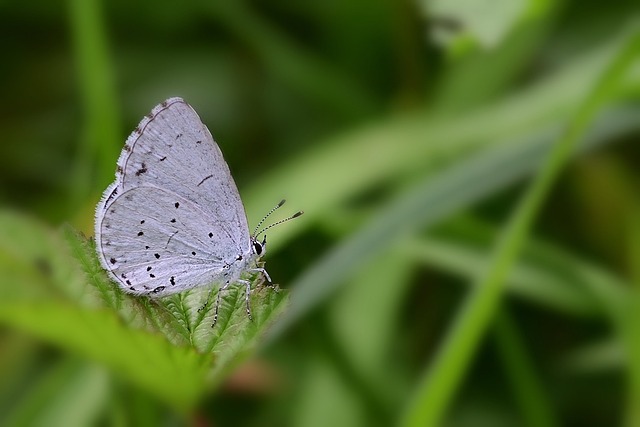 김수미 나이 프로필 정리 ✅