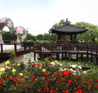 곡성세계장미축제