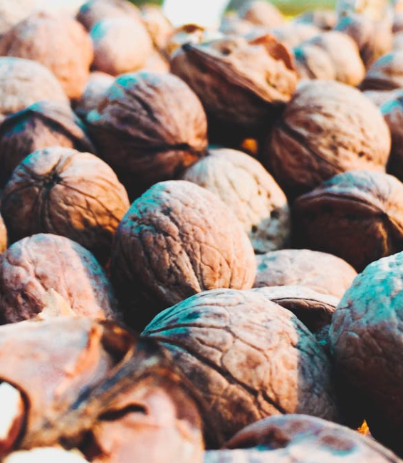 신장에 좋은 음식