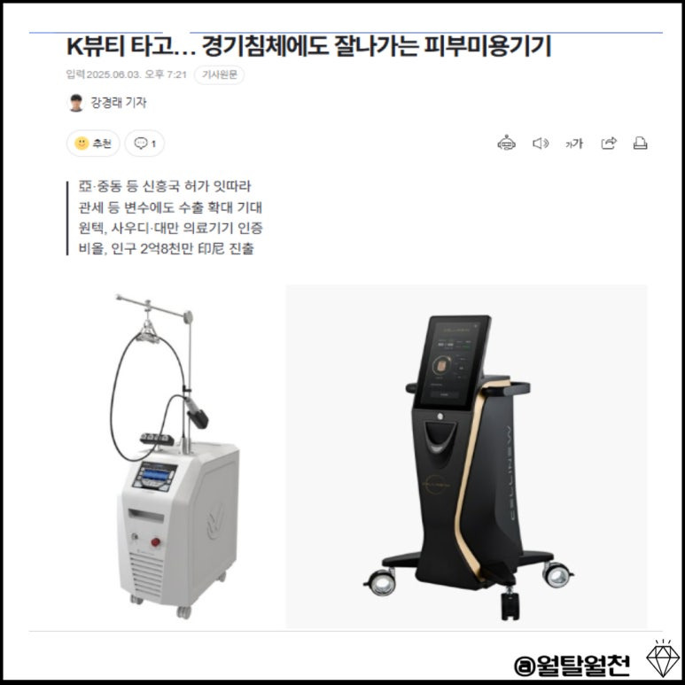 비올 호재 기사 수출성장