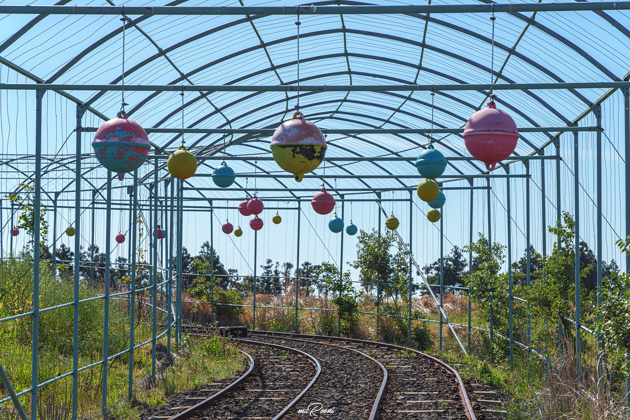 제주 레일바이크