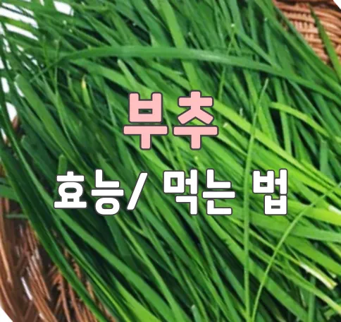 부추-효능-먹는법