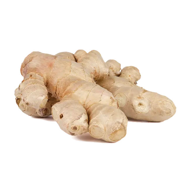 생강 심는 시기 수확 시기 생강 심는 방법